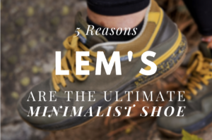 Read more about the article 5 Reasons Why Lem’s Shoes are the Ultimate Minimalist Shoe of 2023