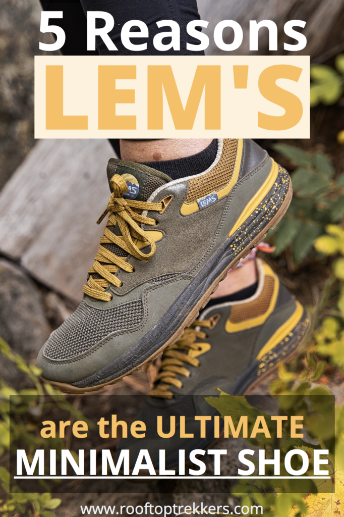 5 Reasons Why Lem  s Shoes  are the Ultimate Minimalist Shoe  