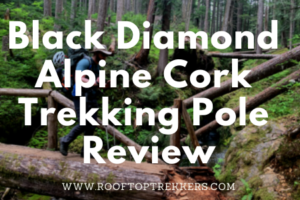 Black Diamond Alpine Cork Trekking Poles